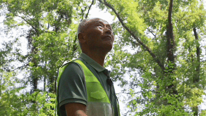 俞旺金带着护鸟队分组沿河巡护(央广网记者 尹博 制)